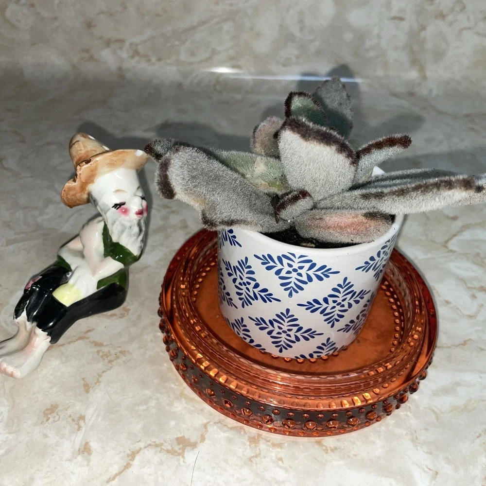 Plant Pot Drainage Dish, Trinket Dish, or Just because it's‎ Beautiful